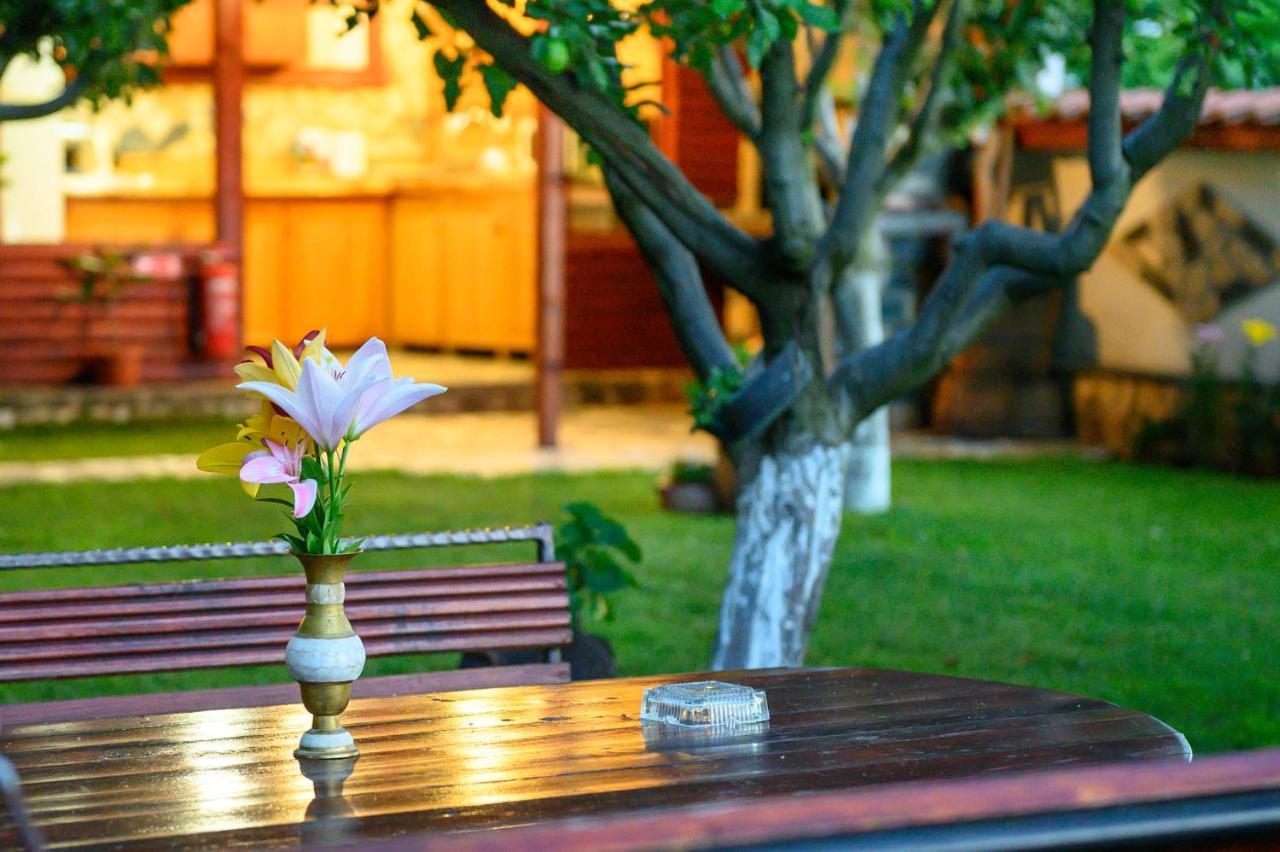 Medi Guest House Saparewa Banja Zewnętrze zdjęcie