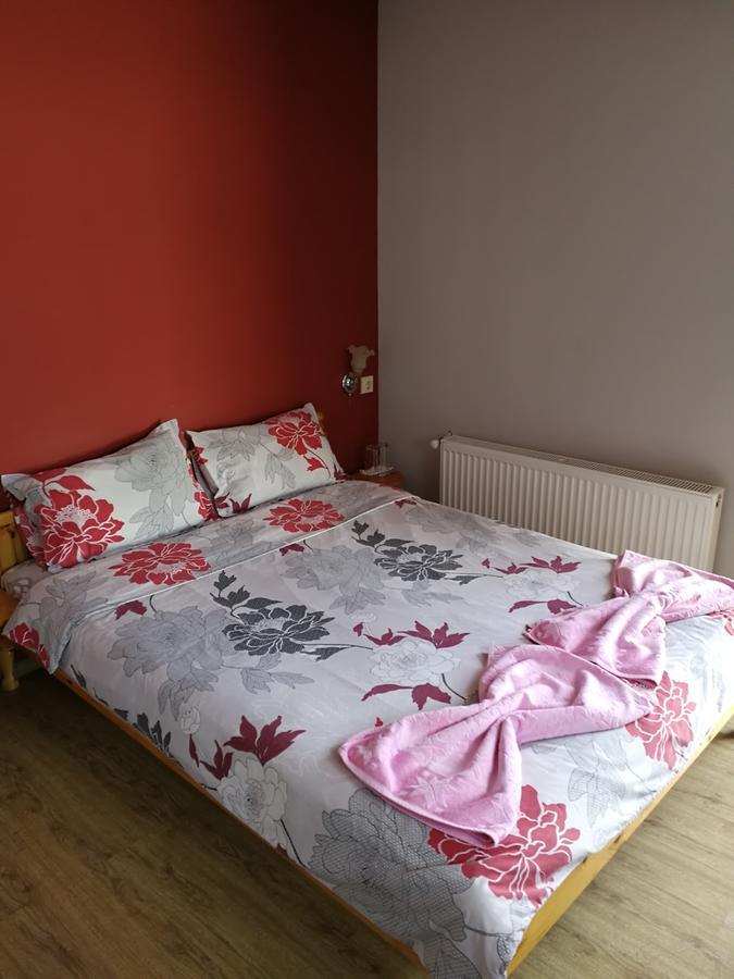 Medi Guest House Saparewa Banja Zewnętrze zdjęcie
